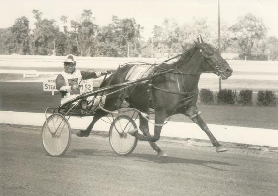 Horses; Kentucky Colonel; Nanseacond Yonkers; Meadow Wilma and rider