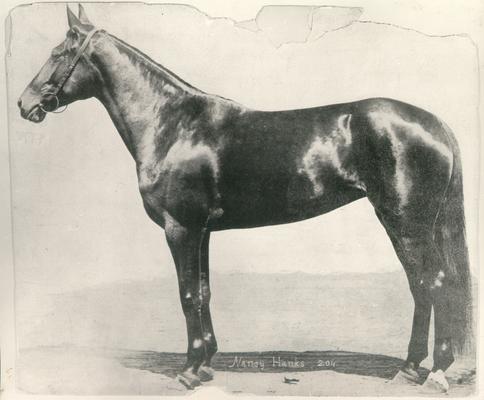 Horses; Kentucky Colonel; Nanseacond Yonkers; Nancy Hanks 2:04