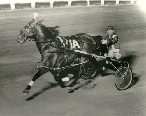 Horses; Kentucky Colonel; Nanseacond Yonkers; Nanseacond Yonkers running with rider