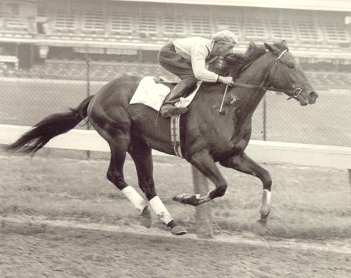 Horses; Nashua; Nevele Pride; Nashua running with jockey