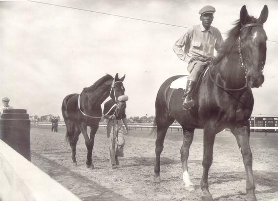 Horses; Nashua; Nevele Pride; Nashua being followed by another horse