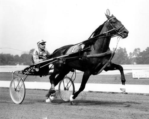 Horses; Nashua; Nevele Pride; Nevele Pride running with a jockey