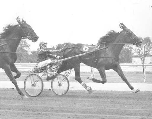 Horses; Niatross; Right Time; Noble Jade pulling ahead