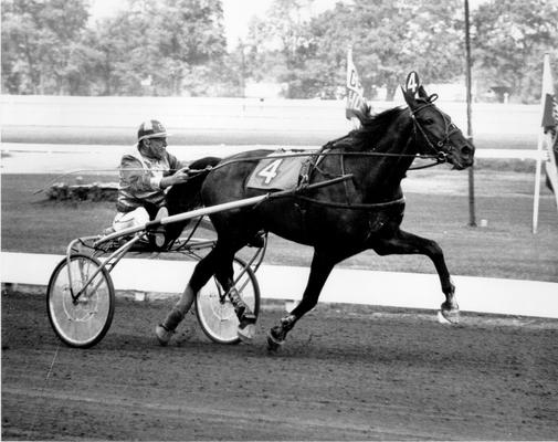 Horses; Niatross; Right Time; Quick Pride and driver warming up