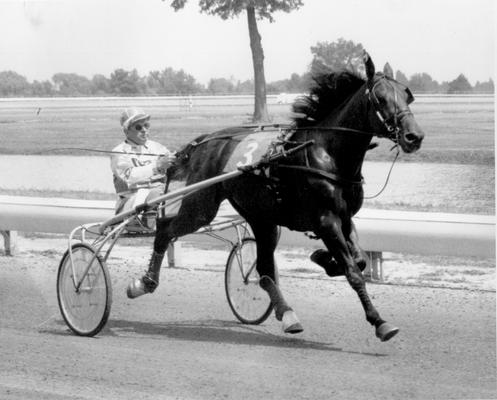 Horses; Speedy Crown; Tulyar; Speedy Crown racing as #3