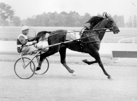 Horses; Speedy Crown; Tulyar; Tie Silk running with driver