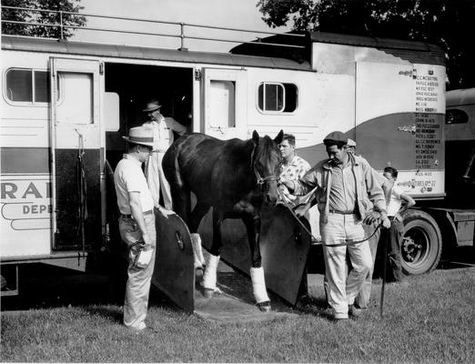 Horses; Speedy Crown; Tulyar; Tim Tam being unloaded from a truck