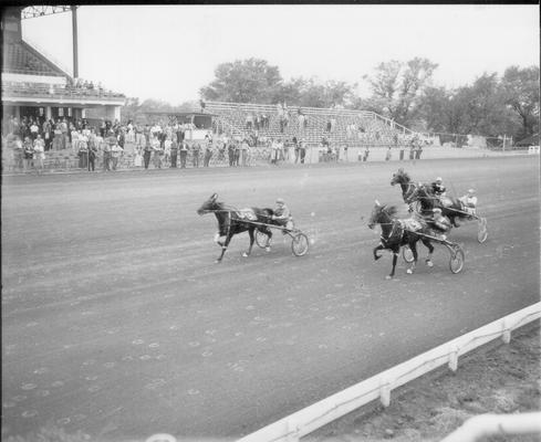 Horses; Speedy Crown; Tulyar; True Tilly running a race in 1953