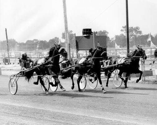 Horses; Uncle Kenny; Your Colors; Uncle Kenny and driver racing against two others