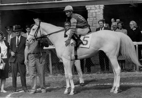 Horses; Uncle Kenny; Your Colors; White Beauty and jockey being admired by a crowd