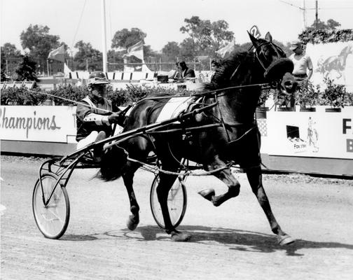 Horses; Uncle Kenny; Your Colors; Winning Worthy and driver racing as #2