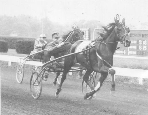 Horses; Harness Racing; Race Scenes; Harness racing scene