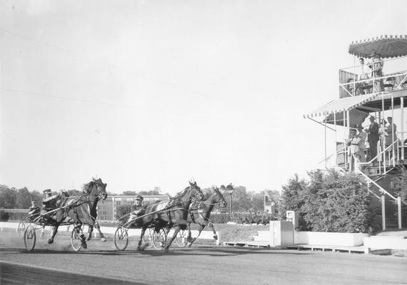 Horses; Harness Racing; Race Scenes; Harness racing scene