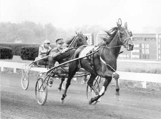 Horses; Harness Racing; Race Scenes; Two horses racing