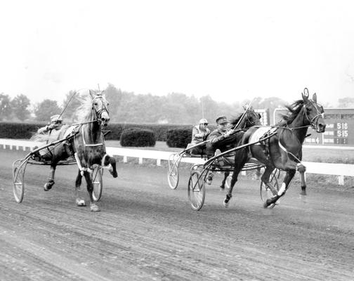 Horses; Harness Racing; Race Scenes; Three horses racing