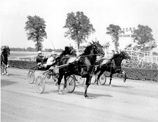 Horses; Harness Racing; Race Scenes; Horses racing past Victory Lane