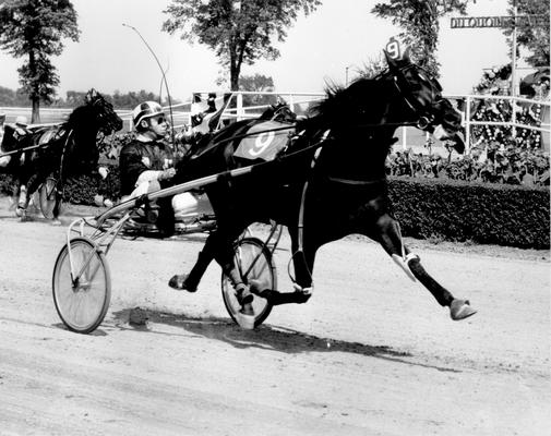 Horses; Harness Racing; Race Scenes; Close-up of horse #9 racing past Victory Lane