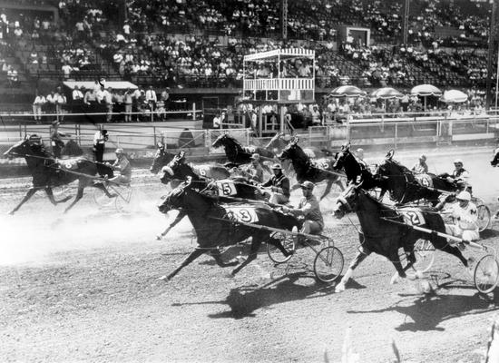 Horses; Harness Racing; Race Scenes; Racers just leaving the starting gate