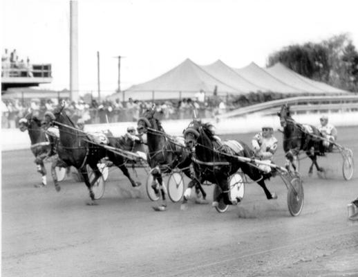 Horses; Harness Racing; Race Scenes; Five horses racing