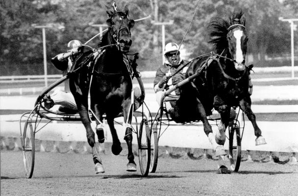 Horses; Harness Racing; Race Scenes; Two horses racing side by side