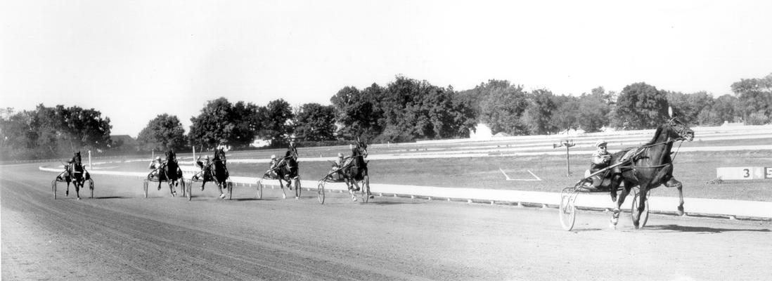 Horses; Harness Racing; Race Scenes; Harness racing scene