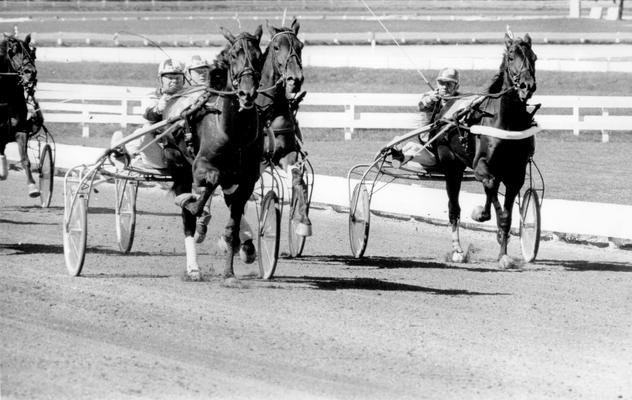 Horses; Harness Racing; Race Scenes; Four horses racing