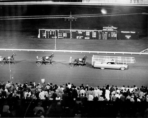 Horses; Harness Racing; Race Scenes; A car leads horses and drivers down the track