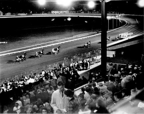 Horses; Harness Racing; Race Scenes; Spectators watching a race at night