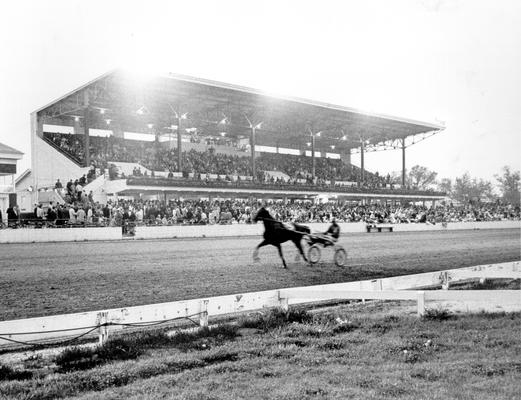 Horses; Harness Racing; Race Scenes; A blurry horse and driver run past the stands