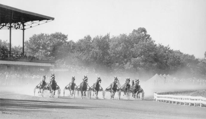 Horses; Harness Racing; Race Scenes; The race begins