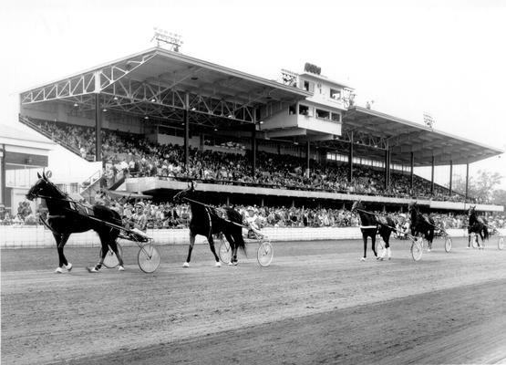 Horses; Harness Racing; Race Scenes; Five horses trotting past the Grandstand