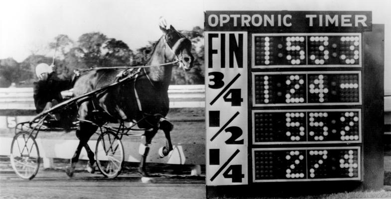 Horses; Harness Racing; Race Scenes; Horse running past the Optronic Timer