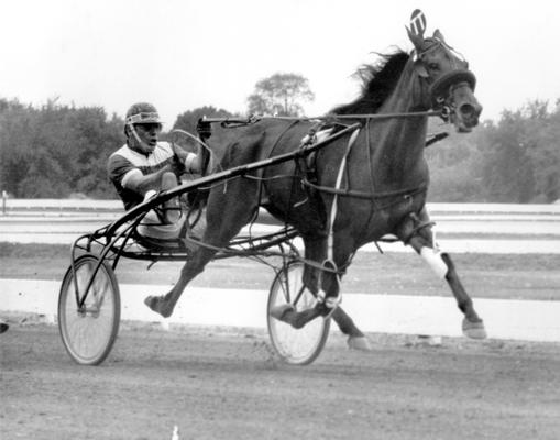 Horses; Harness Racing; Race Scenes; Horse and driver (Unidentified)