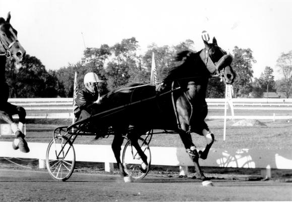 Horses; Harness Racing; Race Scenes; Horse and driver (Unidentified)