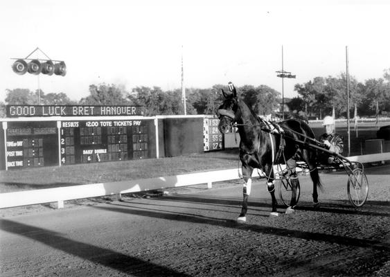 Horses; Harness Racing; Race Scenes; Horse walking past a sign saying, 