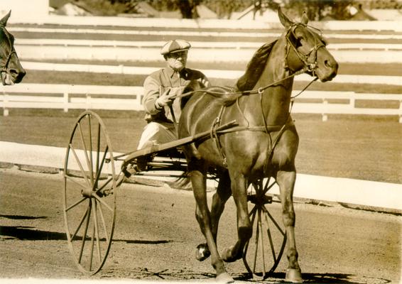 Horses; Harness Racing; Race Scenes; Duplicate of #1720