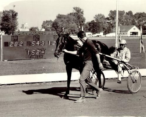 Horses; Harness Racing; Race Scenes; A man helps a driver lead his horse past the Timer