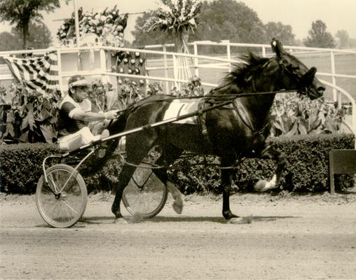 Horses; Harness Racing; Race Scenes; Horse and driver passing the winner's circle