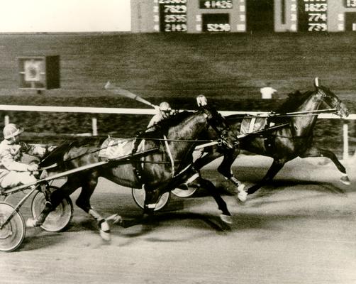 Horses; Harness Racing; Race Scenes; Two horses running very close