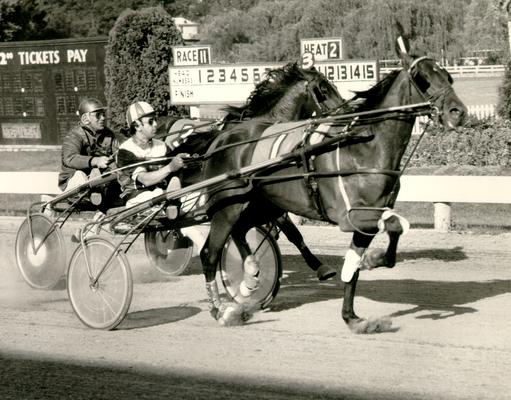 Horses; Harness Racing; Race Scenes; Two horses passing the score board