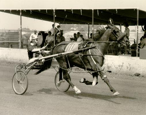 Horses; Harness Racing; Race Scenes; Horse and driver running past spectators