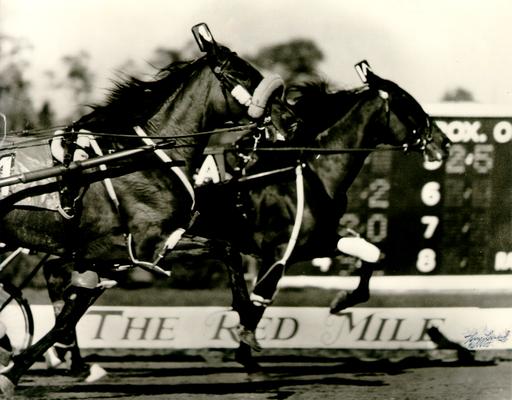 Horses; Harness Racing; Race Scenes; Two horses racing at The Red Mile