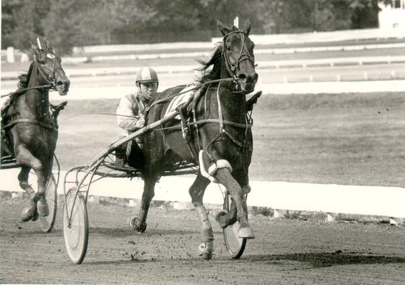 Horses; Harness Racing; Race Scenes; Driver Gene and his horse