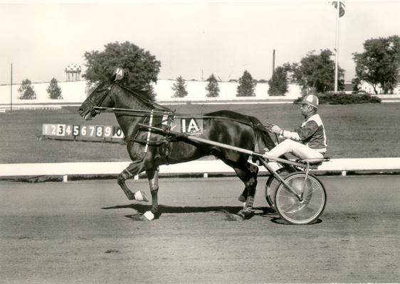 Horses; Harness Racing; Race Scenes; Horse and driver (Unidentified)