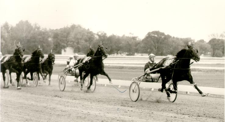 Horses; Harness Racing; Race Scenes; A group of horses in a race