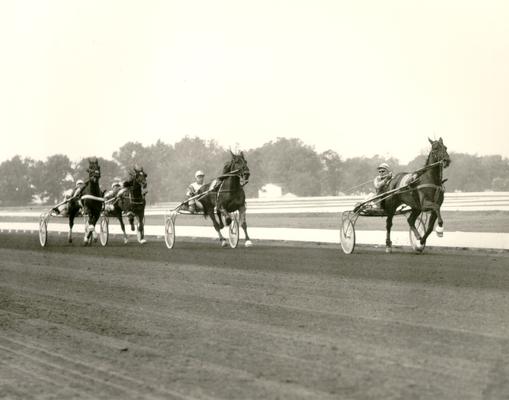 Horses; Harness Racing; Race Scenes; Four horses racing