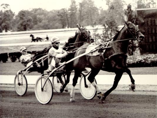 Horses; Harness Racing; Race Scenes; Two horses running