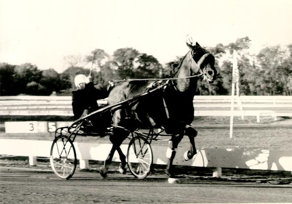 Horses; Harness Racing; Race Scenes; Horse and driver (Unidentified)