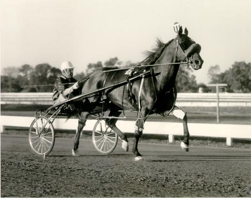 Horses; Harness Racing; Race Scenes; Horse and driver (Unidentified)