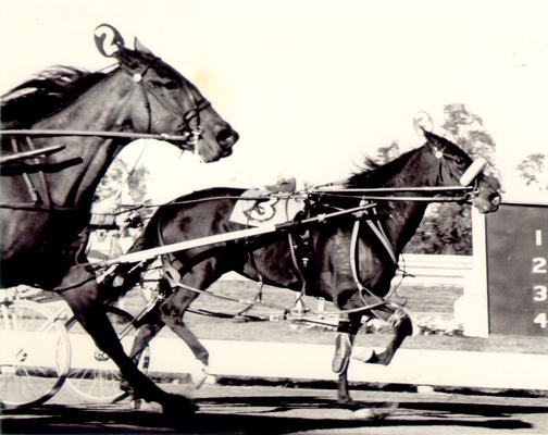 Horses; Harness Racing; Race Scenes; Two horses racing